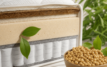 О пене Soya Foam