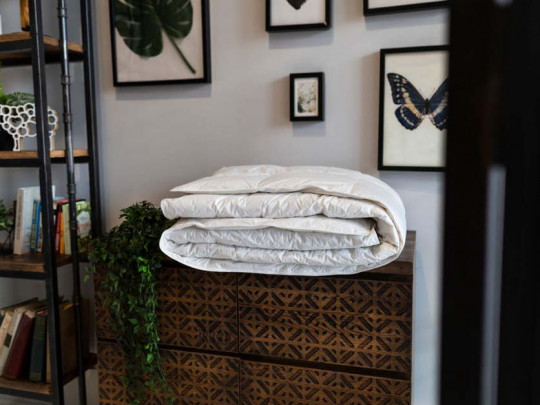 Одеяло детское German Grass пуховое Kinder Snow Grass всесезонное 62130 по цене от 39 680 ₽ , цвет белый 2 | Одеяла German Grass