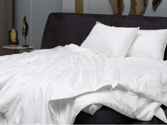 Одеяло German Grass шелковое Luxury Silk Grass всесезонное 75230 по цене от 43 770 ₽ , цвет белый 2 | Одеяла German Grass