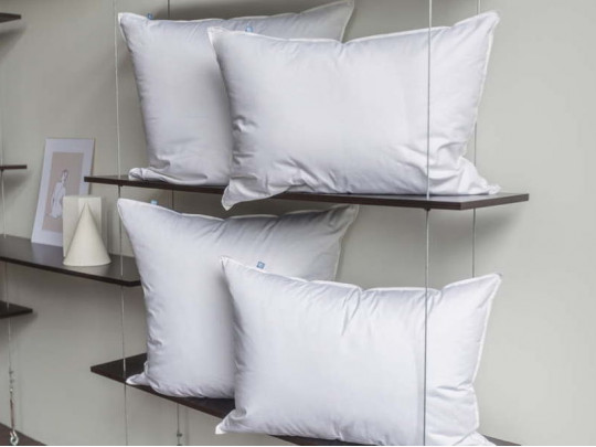 Подушка German Grass пух перо 3 Stars Familie Down упругая 3624040 German Grass, цвет белый