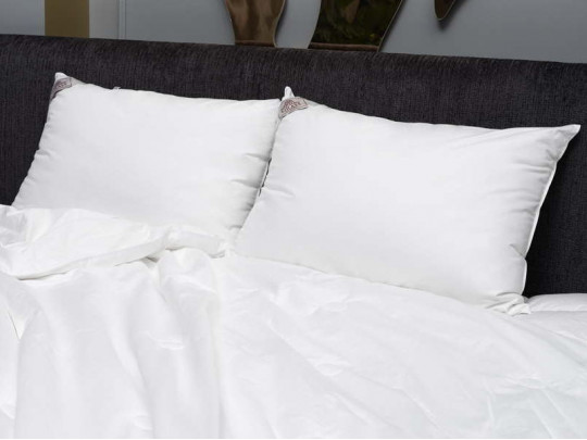 Подушка German Grass шелковая Luxury Silk Grass мягкая 75211 по цене от 25 410 ₽ , цвет белый 1 | Подушки German Grass