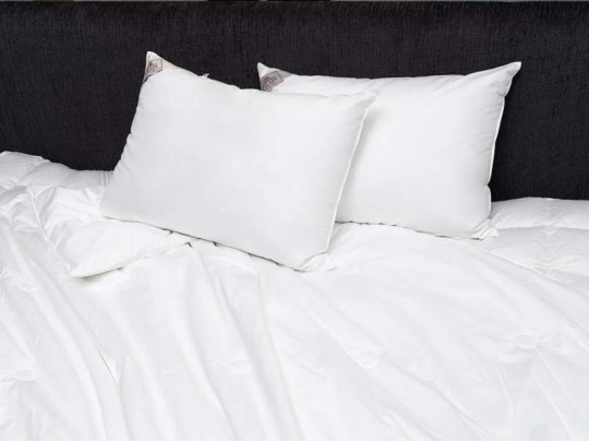 Подушка German Grass шелковая Luxury Silk Grass мягкая 75211 по цене от 25 410 ₽ , цвет белый 2 | Подушки German Grass