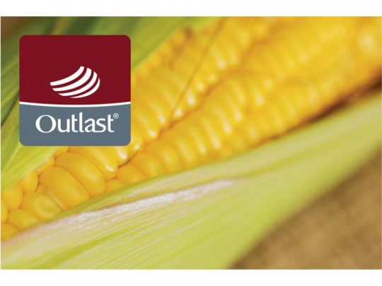 Одеяло Hefel Outlast® & Maize Всесезонное по цене от 103 996 ₽  2 | Одеяла Heffel