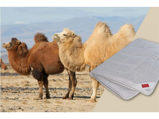 Одеяло Hefel Pure Camel Верблюжья шерсть Всесезонное по цене от 162 996 ₽  1 | Одеяла Heffel
