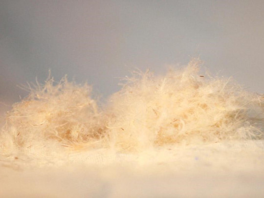 Подушка Mr.Mattress Wings XL по цене от 5 940 ₽  2 | Подушки из бамбука